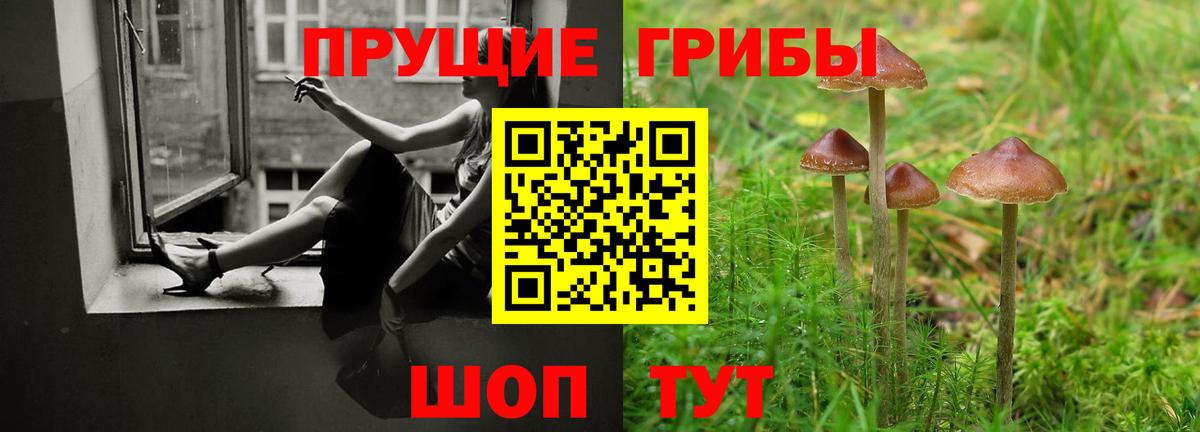 Корсаков  Псилоцибиновые грибы Cubensis  Вход с VPN  Галлюциногенные грибы Psilocybe 